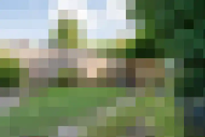 Violenstraat 104 Ommen thumbnail 51