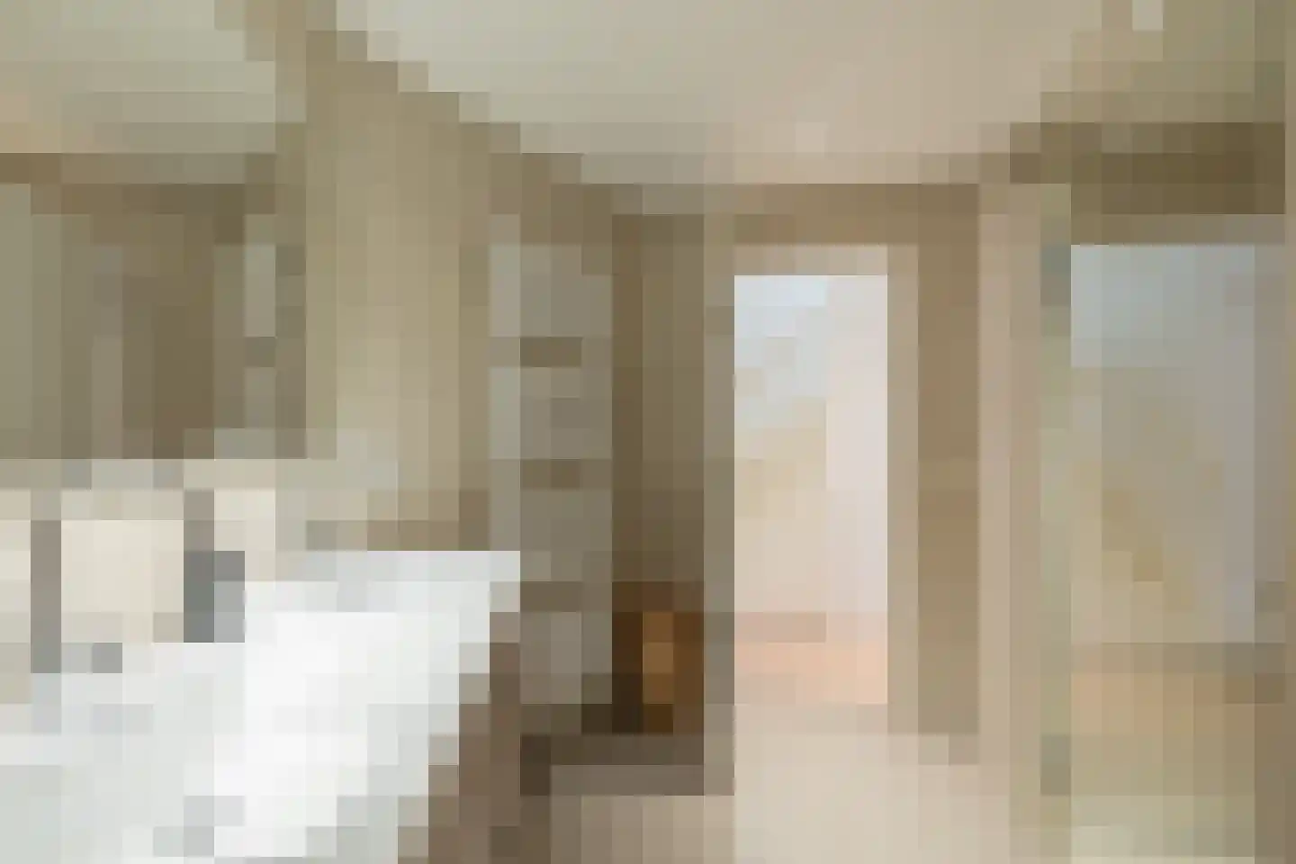 Violenstraat 104 Ommen thumbnail 58