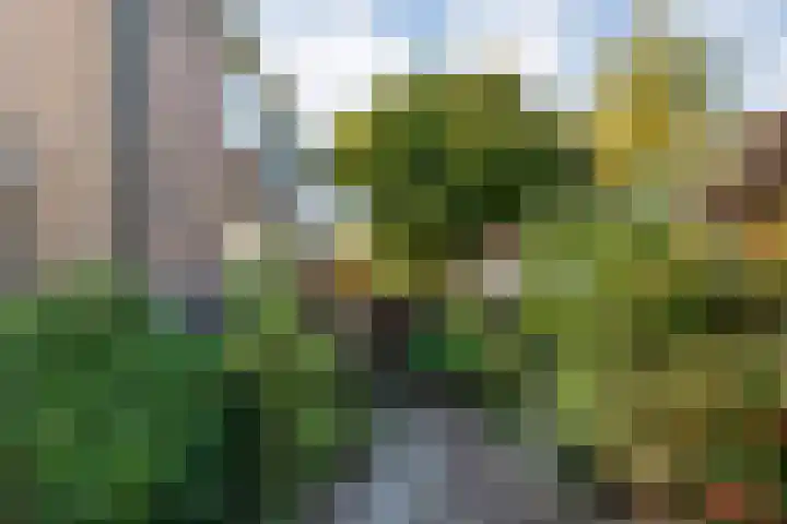 Violenstraat 104 Ommen thumbnail 6