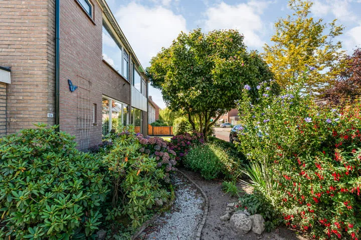 Violenstraat 104 Ommen thumbnail 6