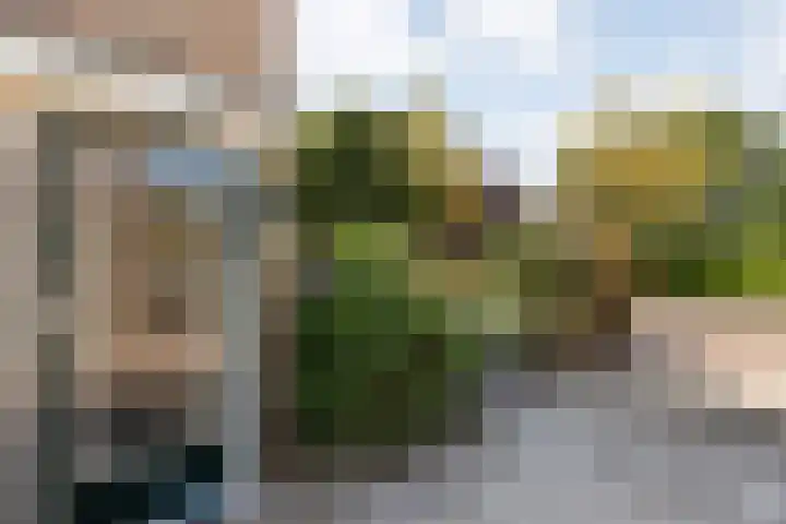 Violenstraat 104 Ommen thumbnail 8