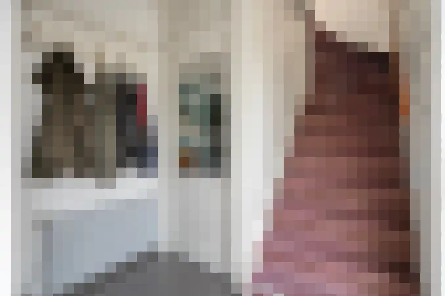 Violenstraat 106 Ommen thumbnail 10