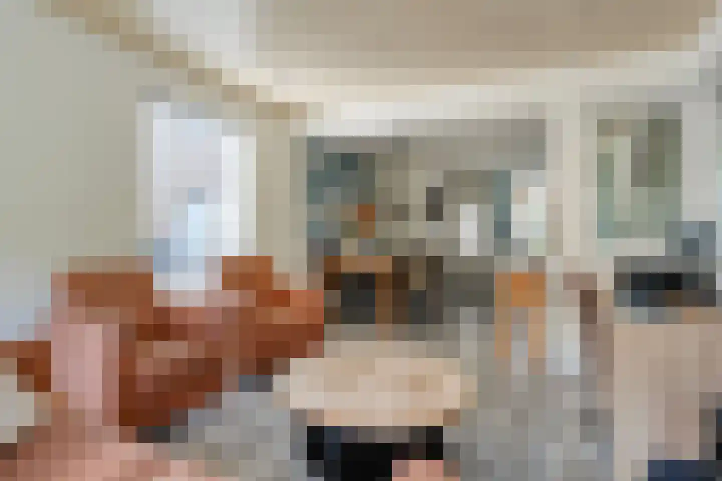 Violenstraat 106 Ommen thumbnail 17