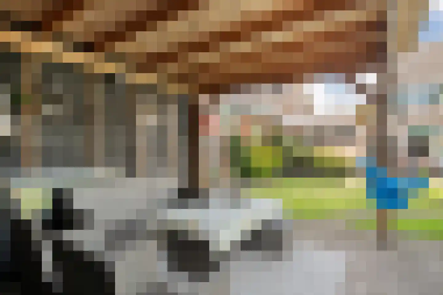 Violenstraat 106 Ommen thumbnail 42