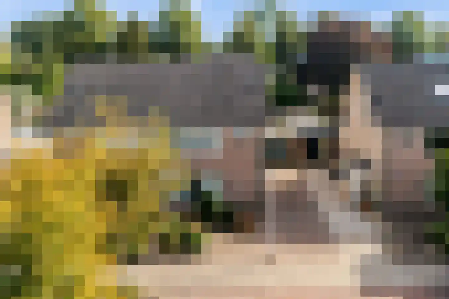 Violenstraat 106 Ommen thumbnail 47