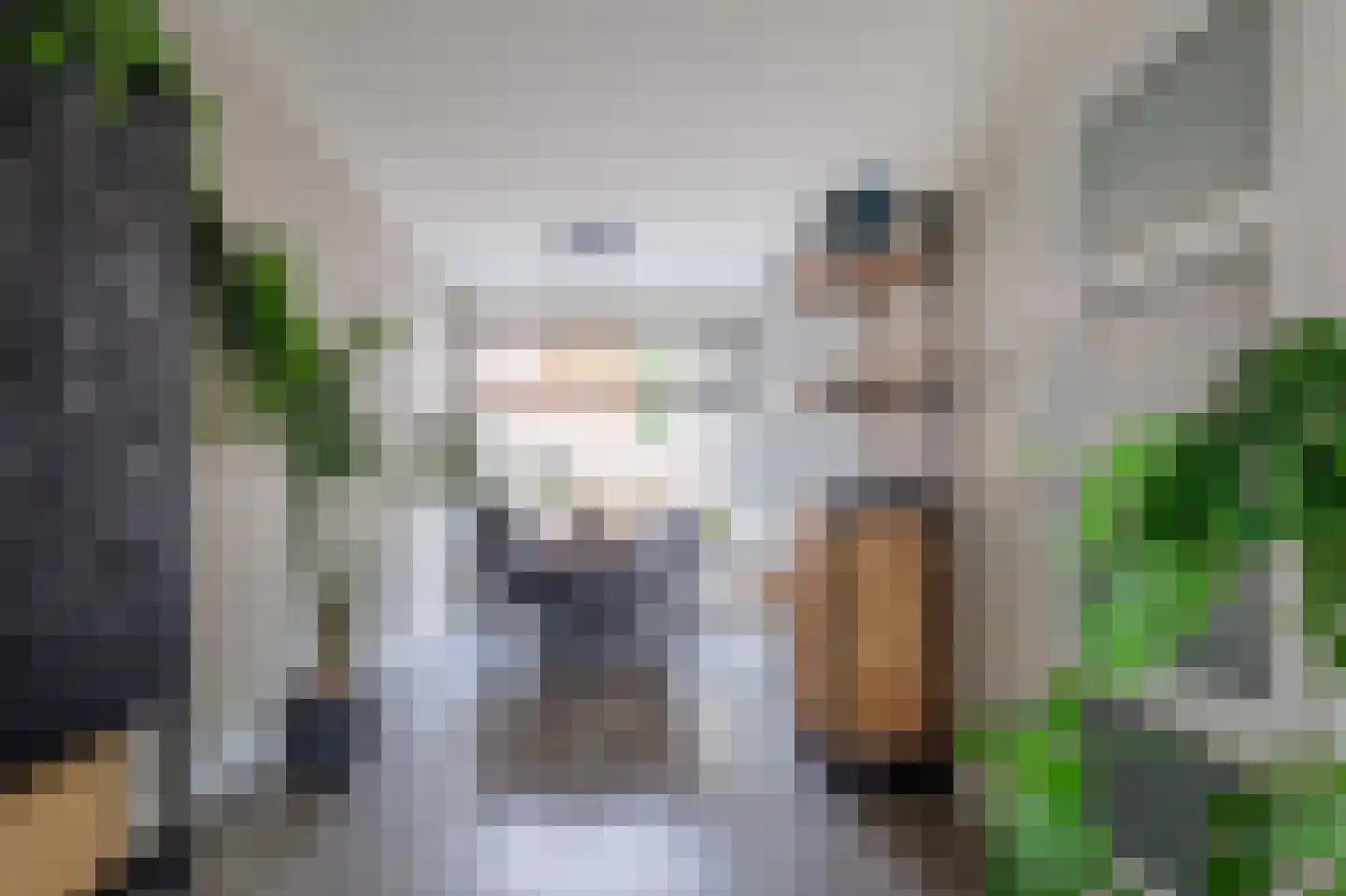 Violenstraat 11 Winsum thumbnail 11