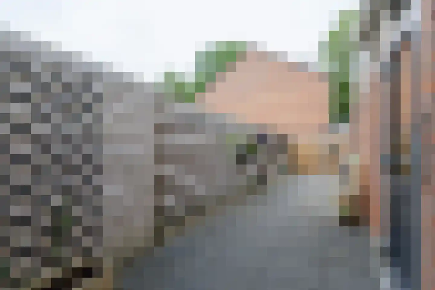 Violenstraat 11 Winsum thumbnail 18
