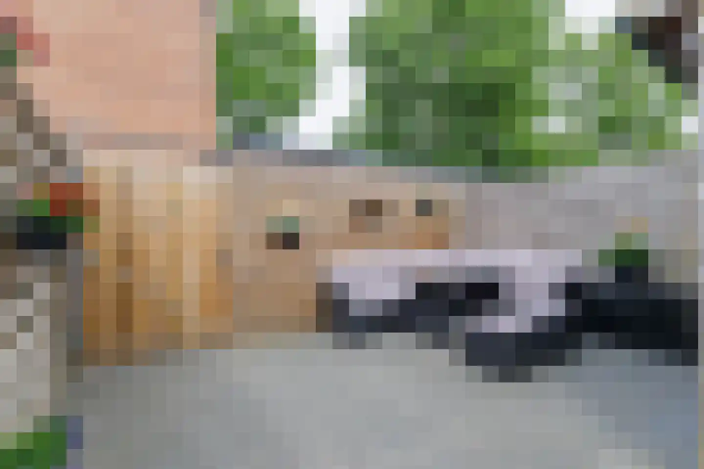 Violenstraat 11 Winsum thumbnail 19
