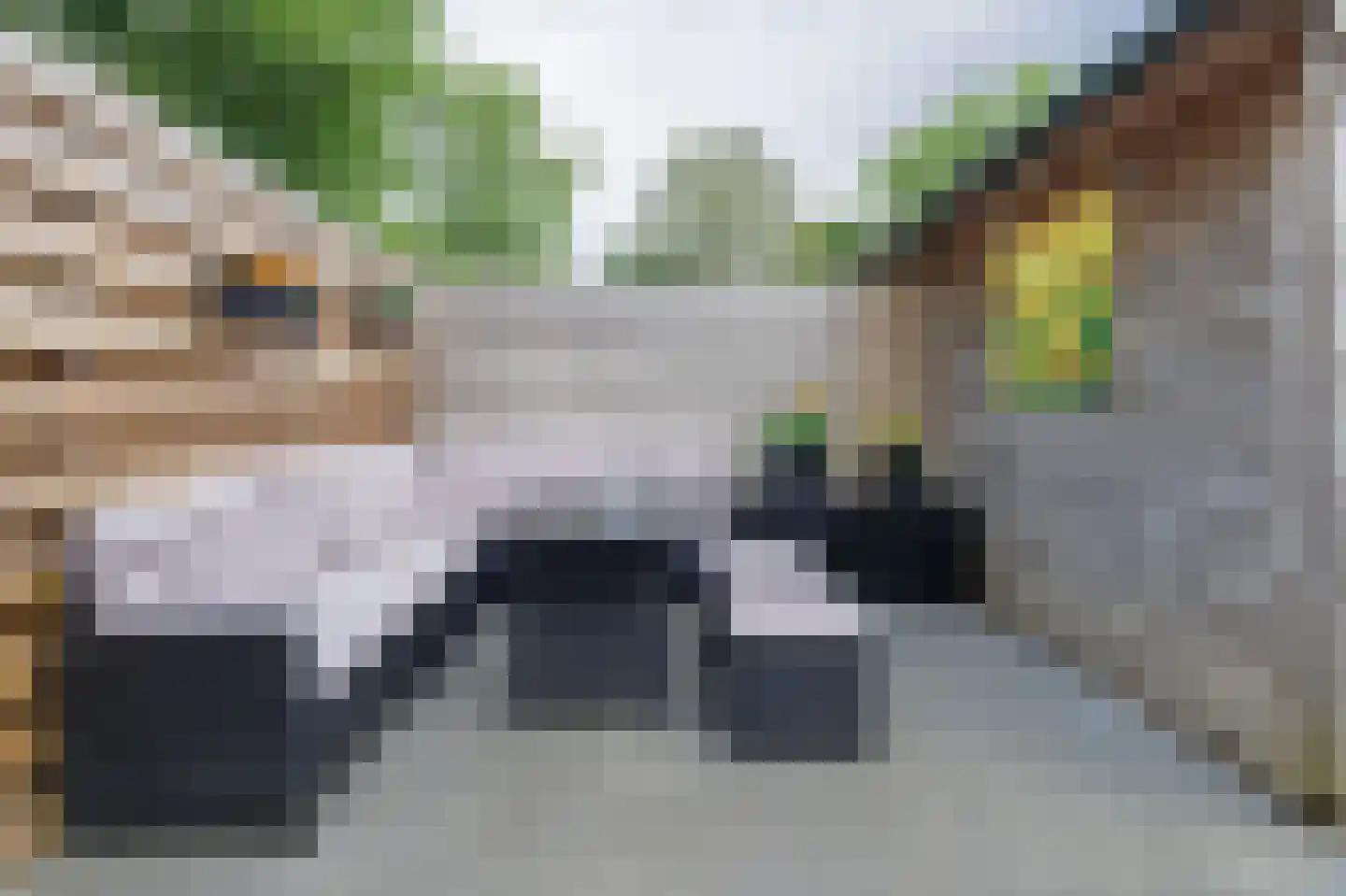 Violenstraat 11 Winsum thumbnail 20