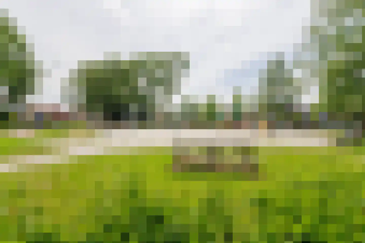 Violenstraat 11 Winsum thumbnail 56