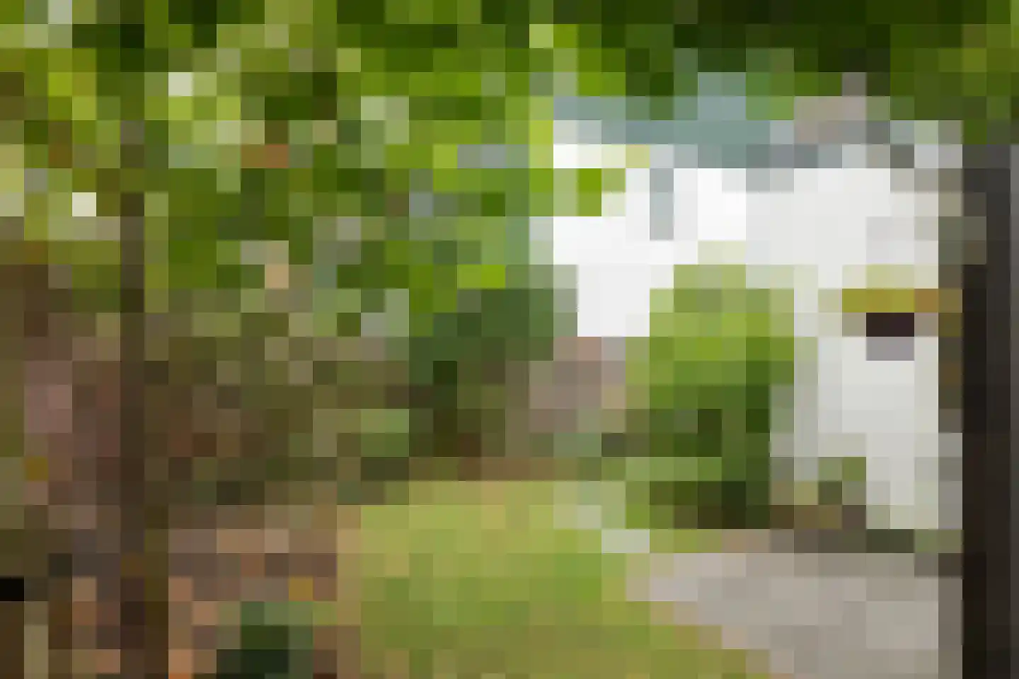 Violenstraat 128 Hilversum thumbnail 32