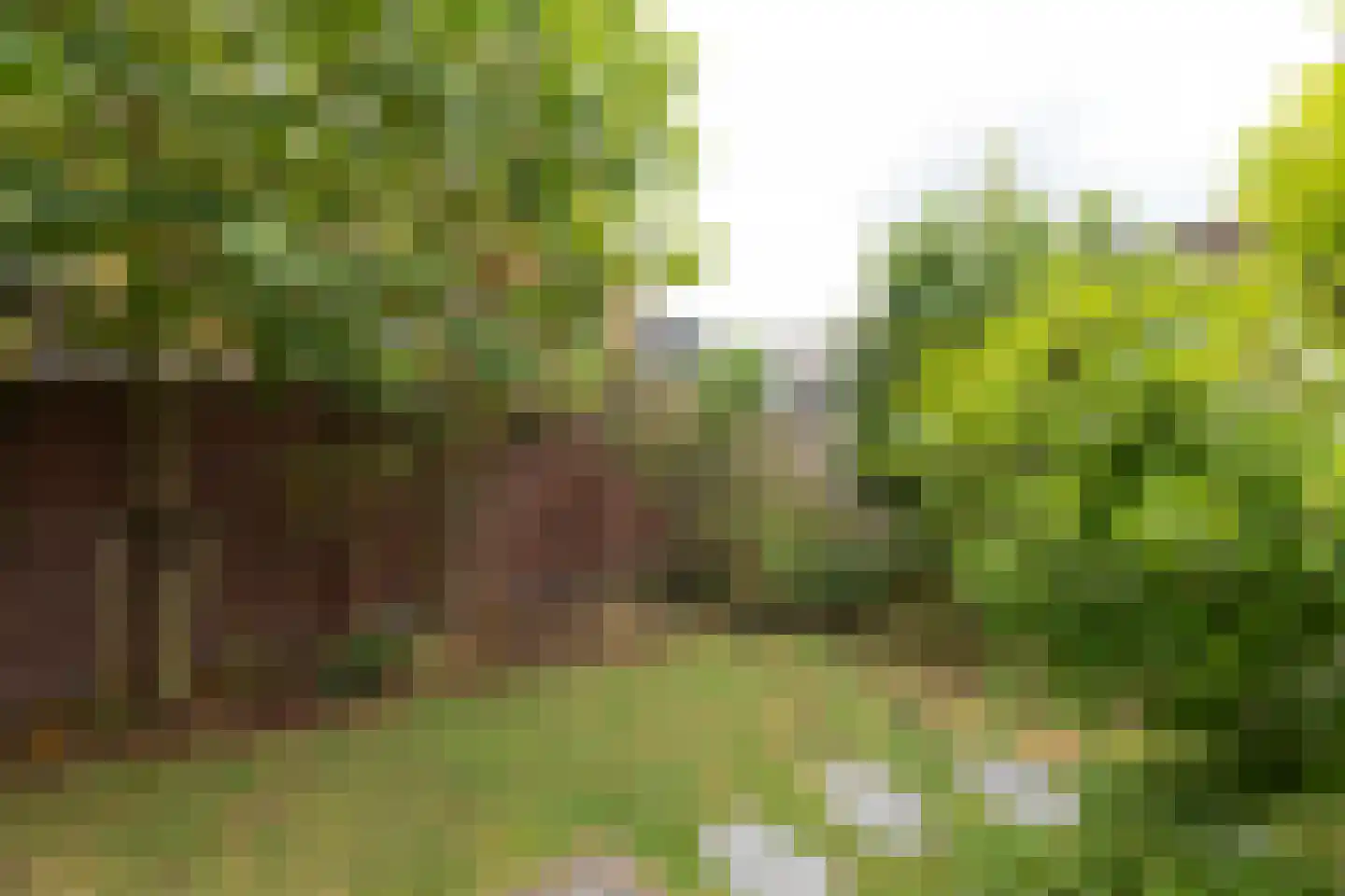 Violenstraat 128 Hilversum thumbnail 35