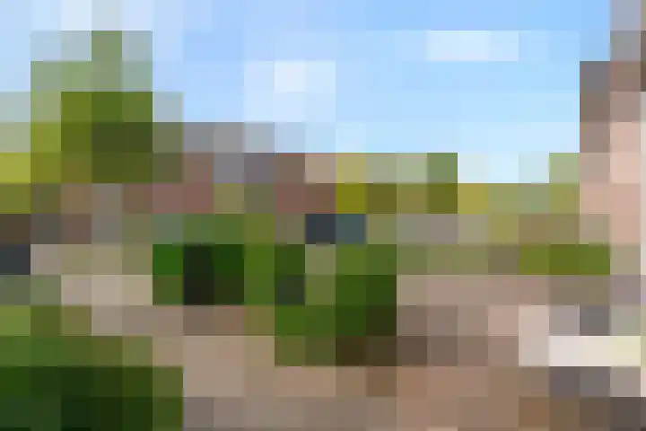 Violenstraat 13 Ommen thumbnail 10