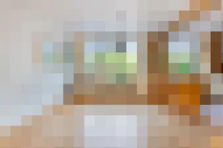 Violenstraat 13 Ommen thumbnail 17