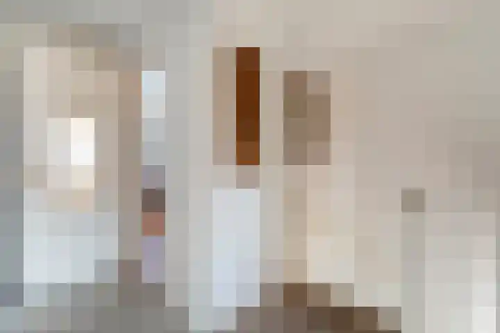 Violenstraat 13 Ommen thumbnail 24