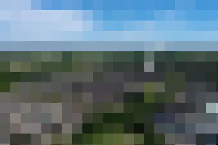 Violenstraat 13 Ommen thumbnail 4