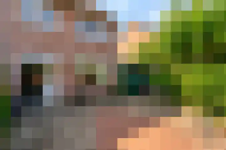 Violenstraat 13 Ommen thumbnail 44
