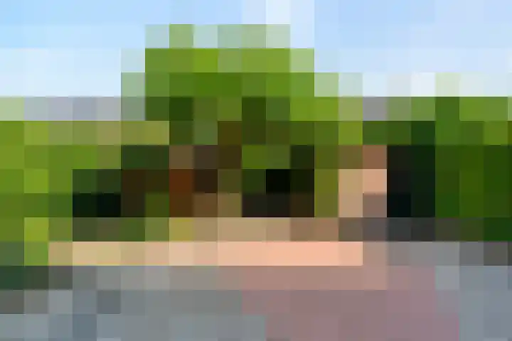 Violenstraat 13 Ommen thumbnail 48