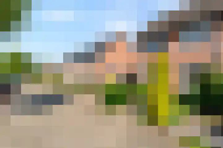 Violenstraat 13 Ommen thumbnail 6