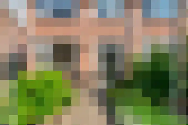 Violenstraat 13 Ommen thumbnail 7