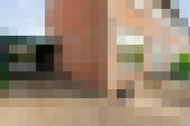 Violenstraat 13 Ommen thumbnail 8
