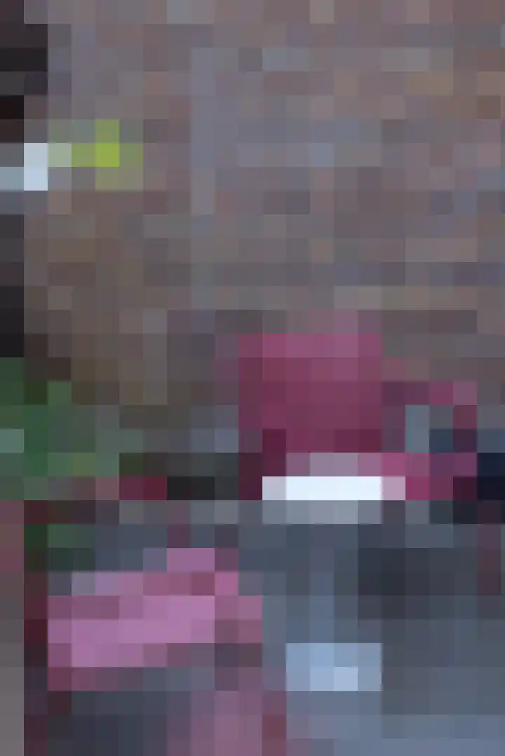 Violenstraat 14 B Rotterdam thumbnail 31