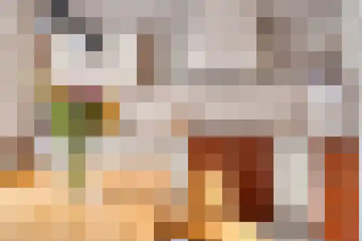 Violenstraat 17 Eibergen thumbnail 15