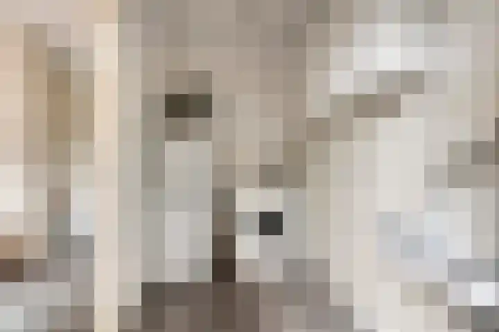 Violenstraat 17 Eibergen thumbnail 17