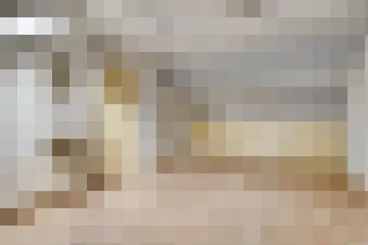 Violenstraat 17 Eibergen thumbnail 31