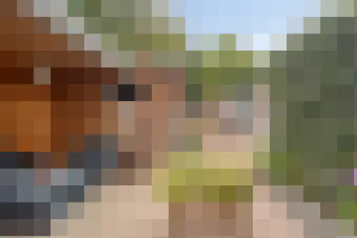 Violenstraat 17 Eibergen thumbnail 33