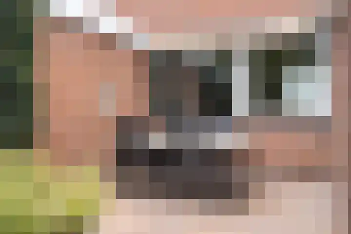 Violenstraat 17 Eibergen thumbnail 36