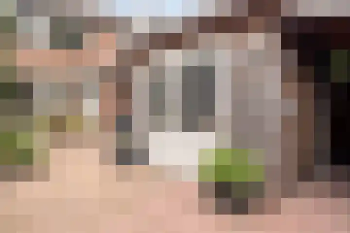 Violenstraat 17 Eibergen thumbnail 38