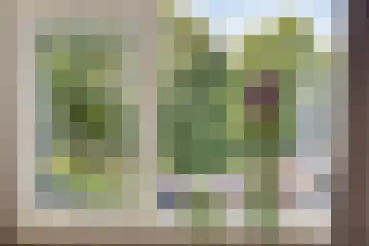 Violenstraat 17 Eibergen thumbnail 5