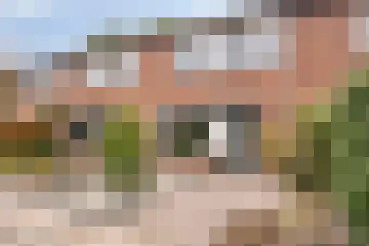 Violenstraat 17 Eibergen thumbnail 7