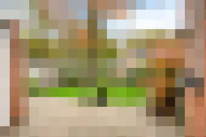 Violenstraat 19 Eibergen thumbnail 43