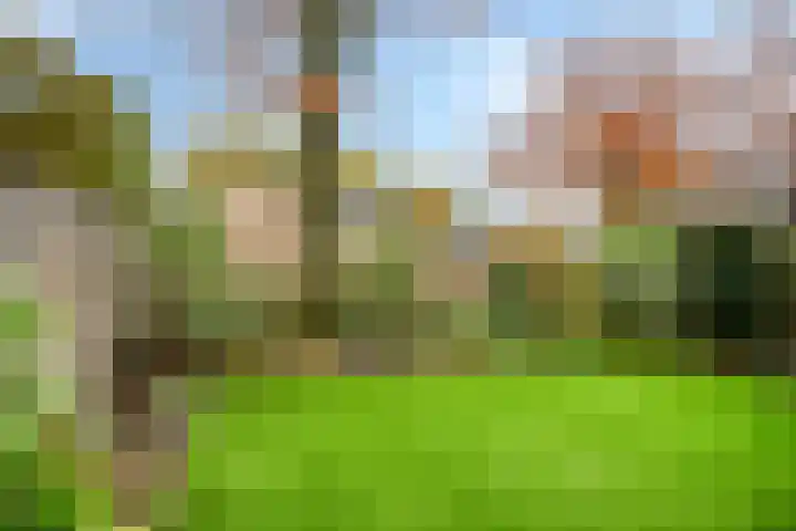 Violenstraat 19 Eibergen thumbnail 47