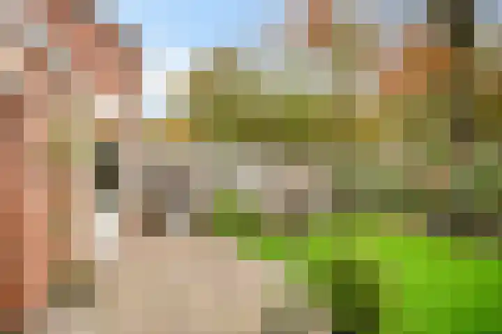 Violenstraat 19 Eibergen thumbnail 48