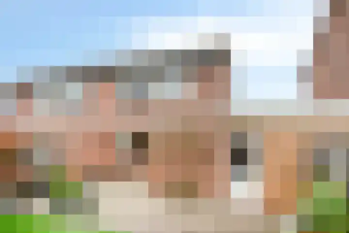 Violenstraat 19 Eibergen thumbnail 50