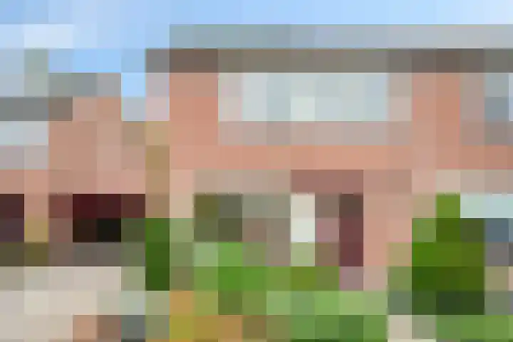 Violenstraat 19 Eibergen thumbnail 51
