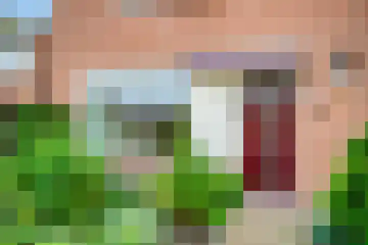 Violenstraat 19 Eibergen thumbnail 7