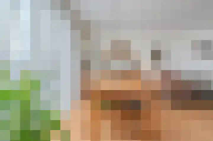 Violenstraat 19 Sappemeer thumbnail 13