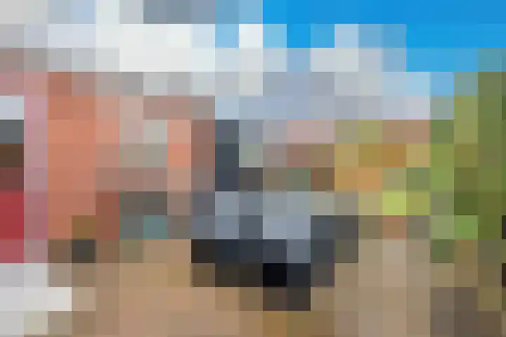 Violenstraat 19 Sappemeer thumbnail 24