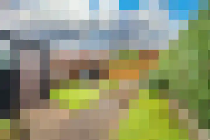 Violenstraat 19 Sappemeer thumbnail 25