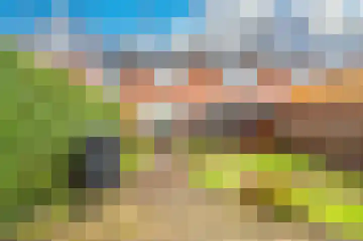 Violenstraat 19 Sappemeer thumbnail 26