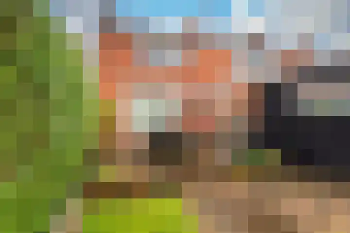 Violenstraat 19 Sappemeer thumbnail 27