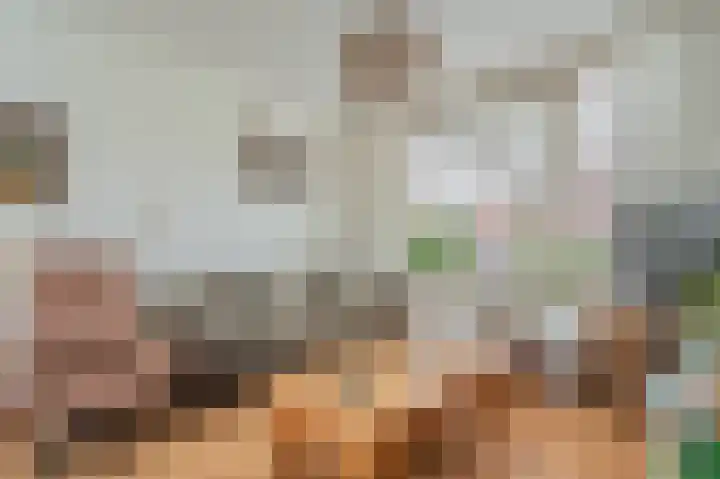 Violenstraat 19 Sappemeer thumbnail 9