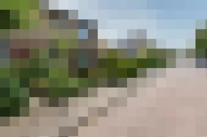 Violenstraat 2 Didam thumbnail 11