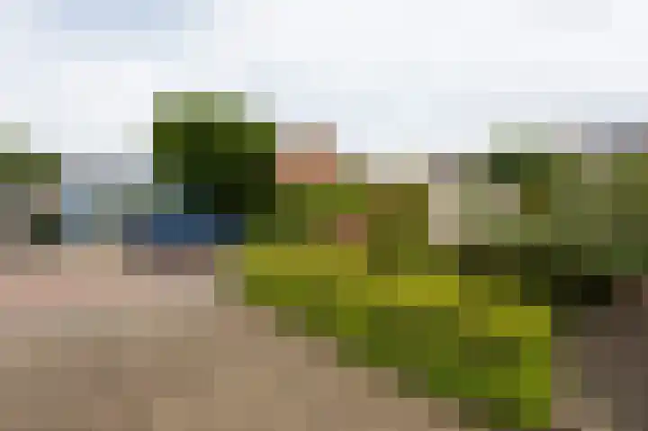Violenstraat 2 Didam thumbnail 12