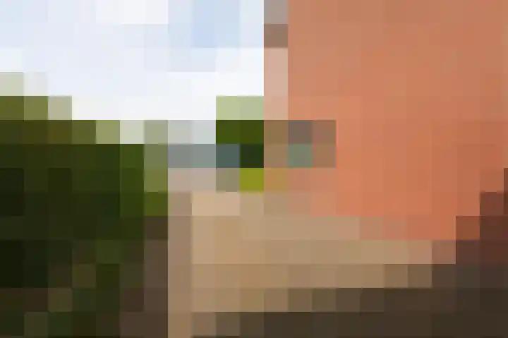 Violenstraat 2 Didam thumbnail 13