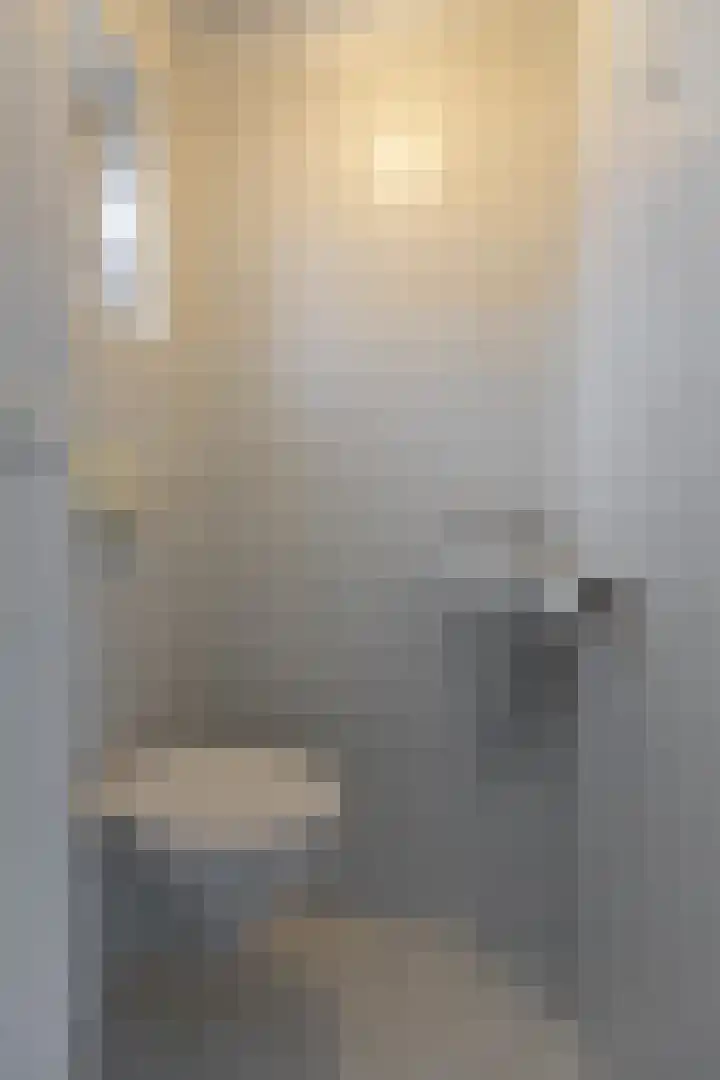 Violenstraat 2 Didam thumbnail 17